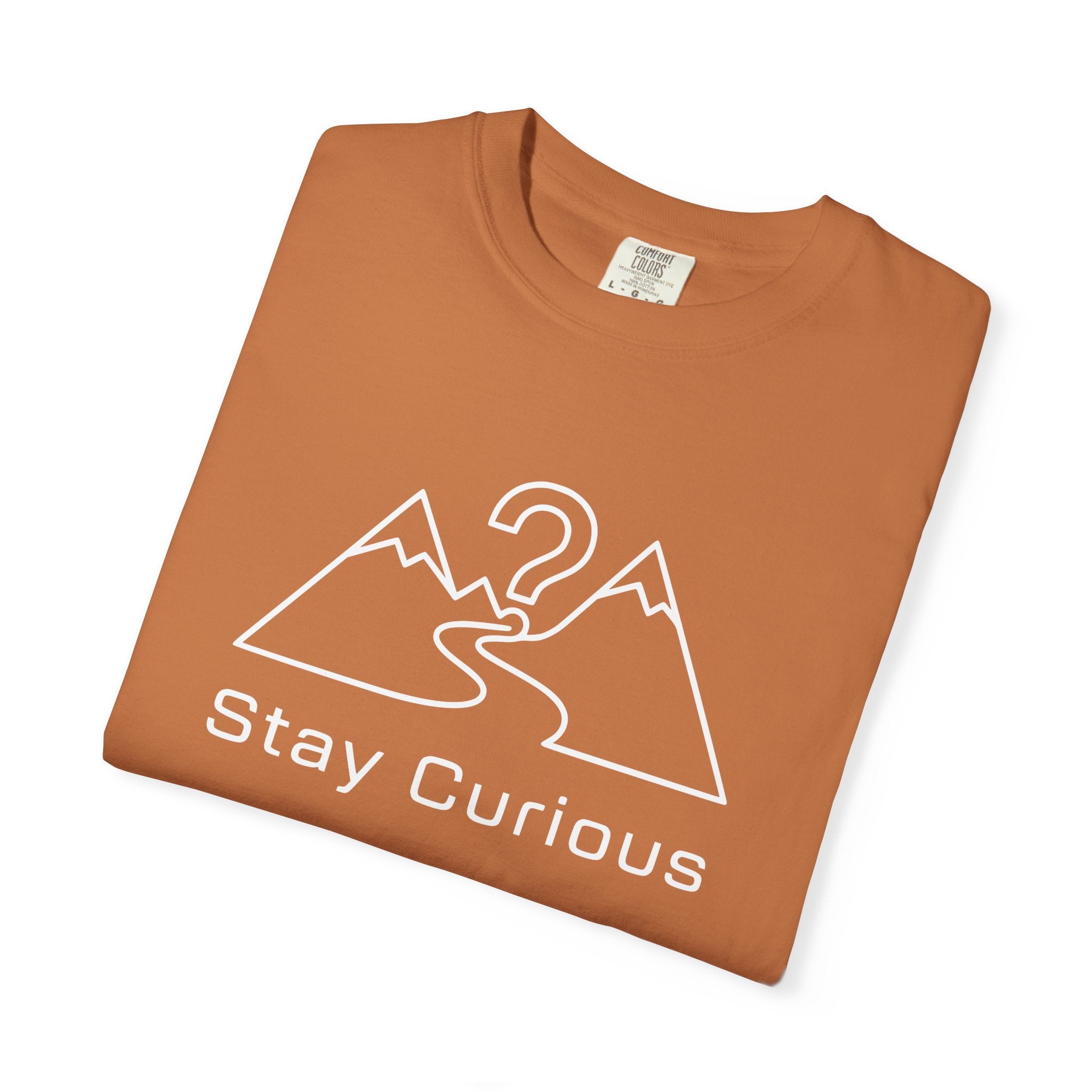 Stay Curious Simple T-Shirt