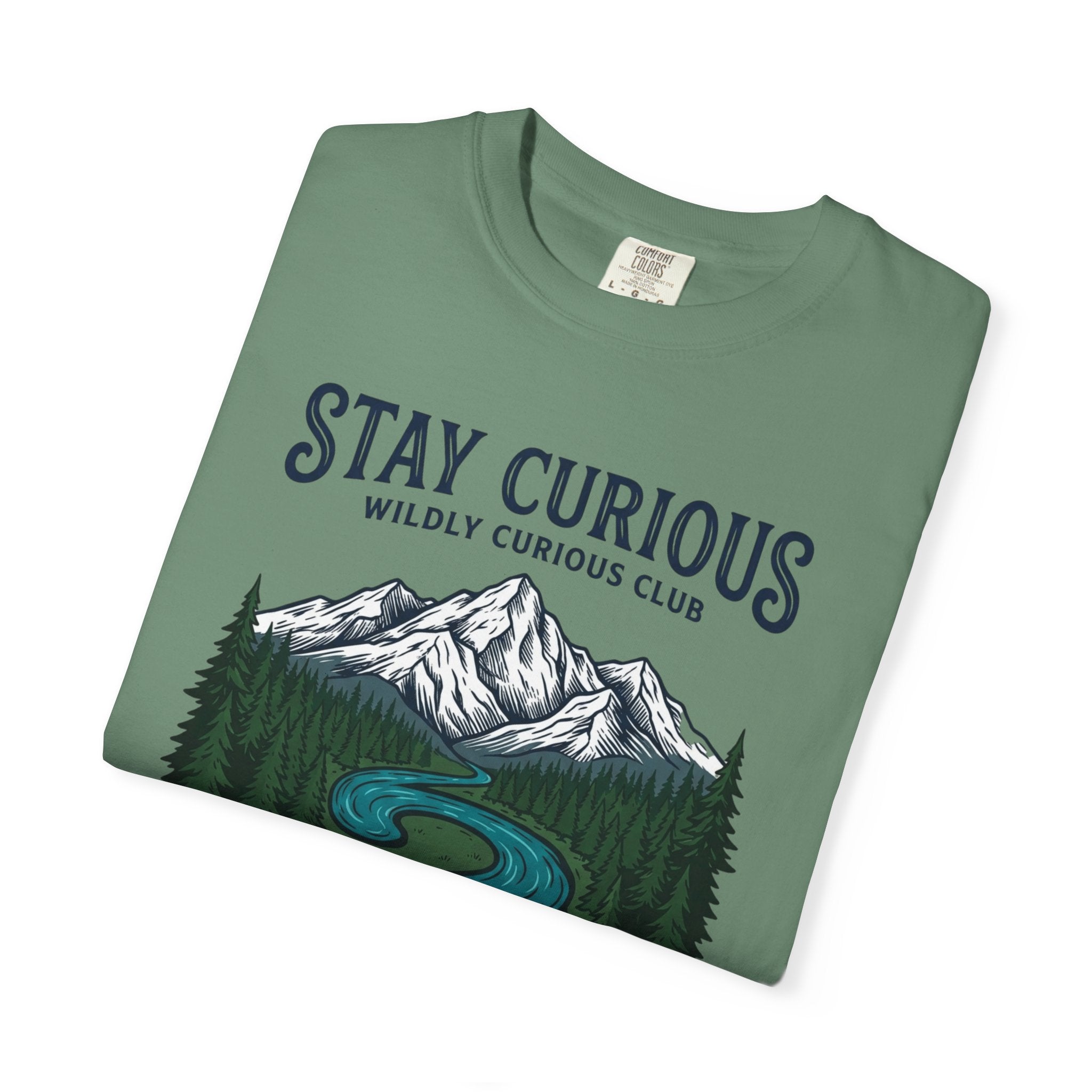 Stay Curious Summit Stream T-Shirt