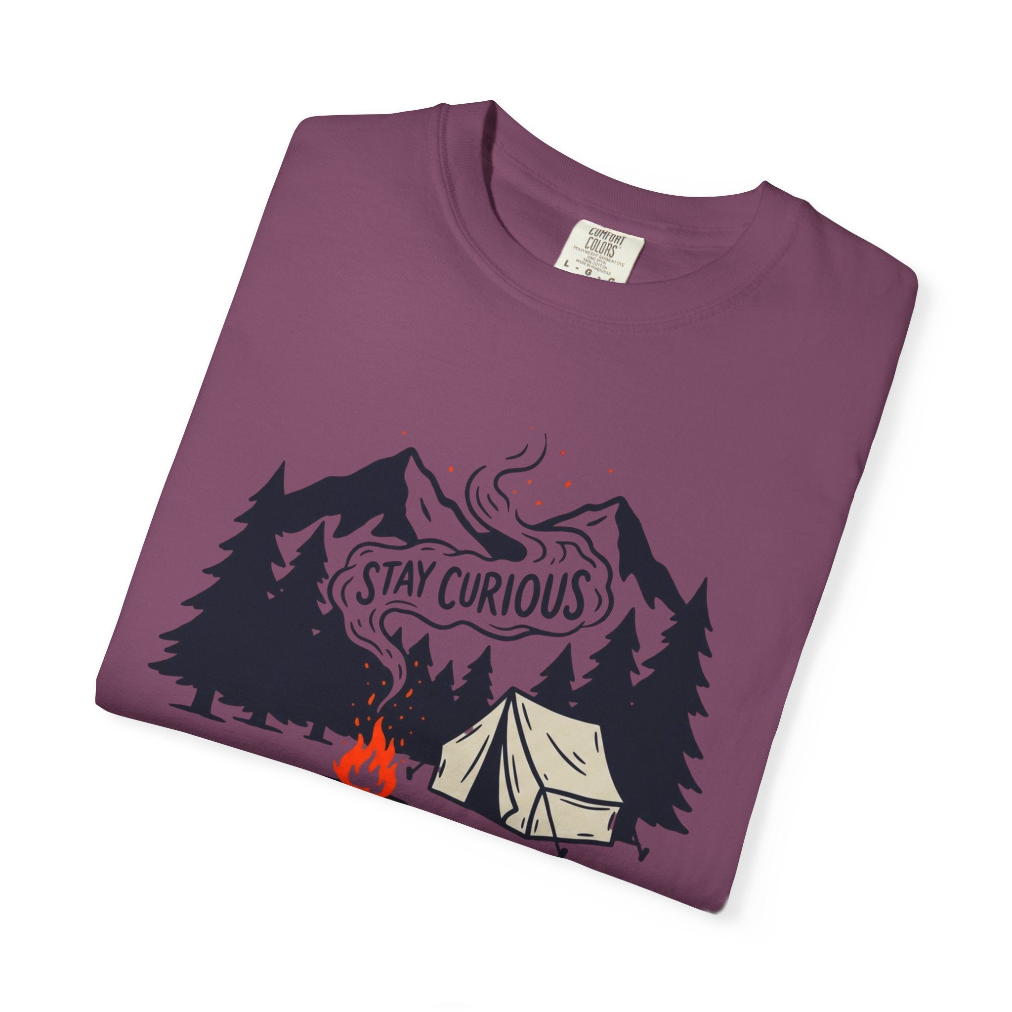 Stay Curious Campfire T-Shirt