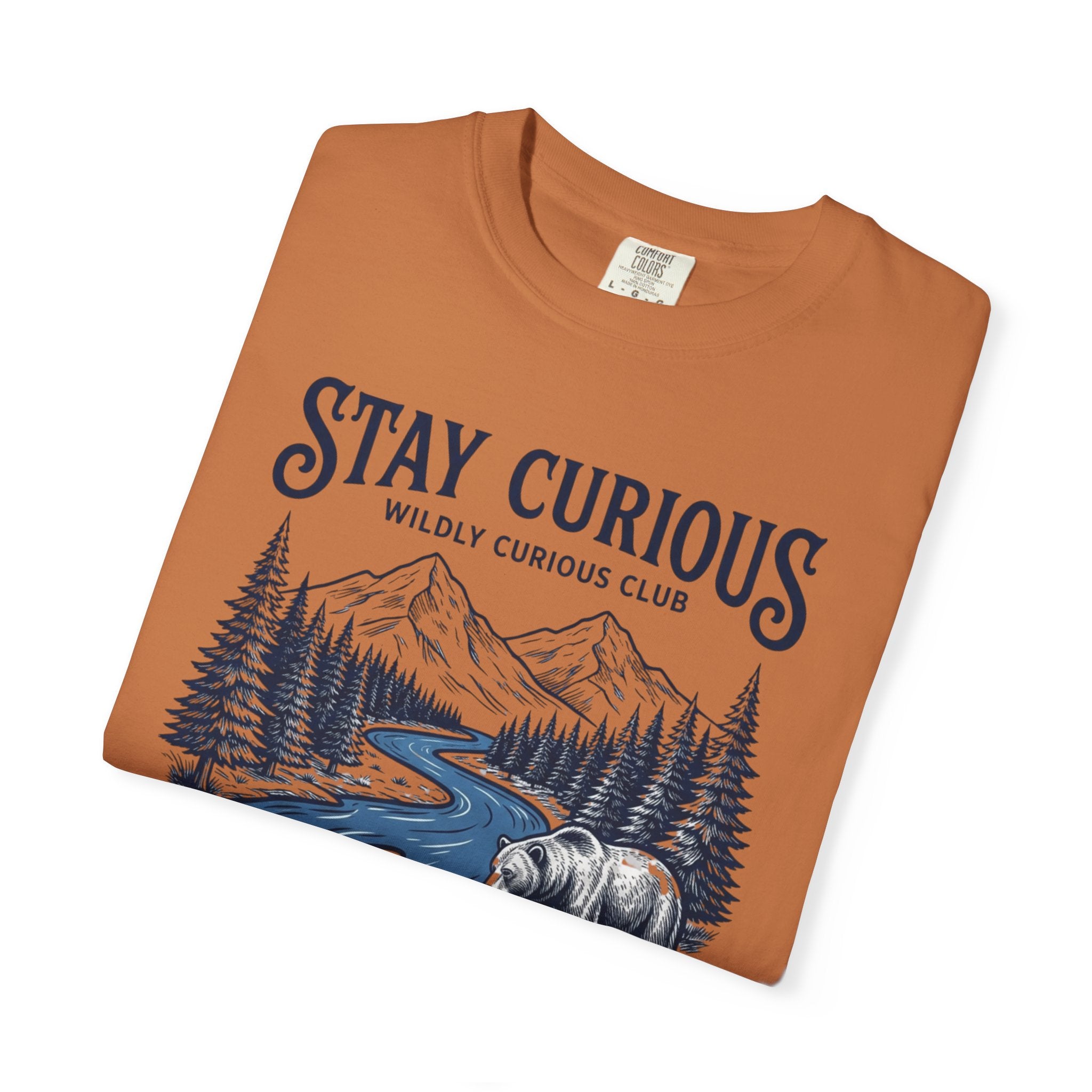 Stay Curious Bear Stream T-Shirt