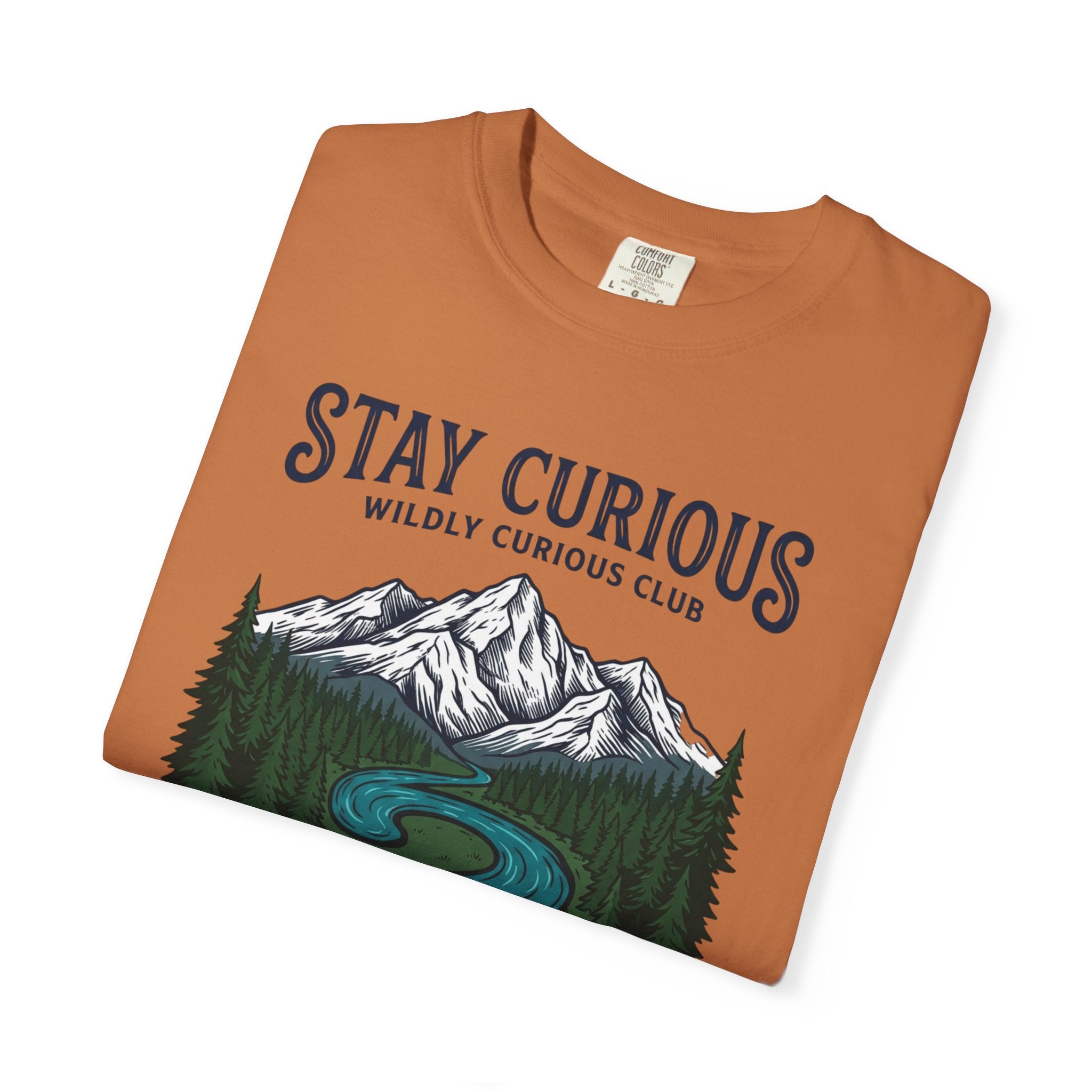 Stay Curious Summit Stream T-Shirt