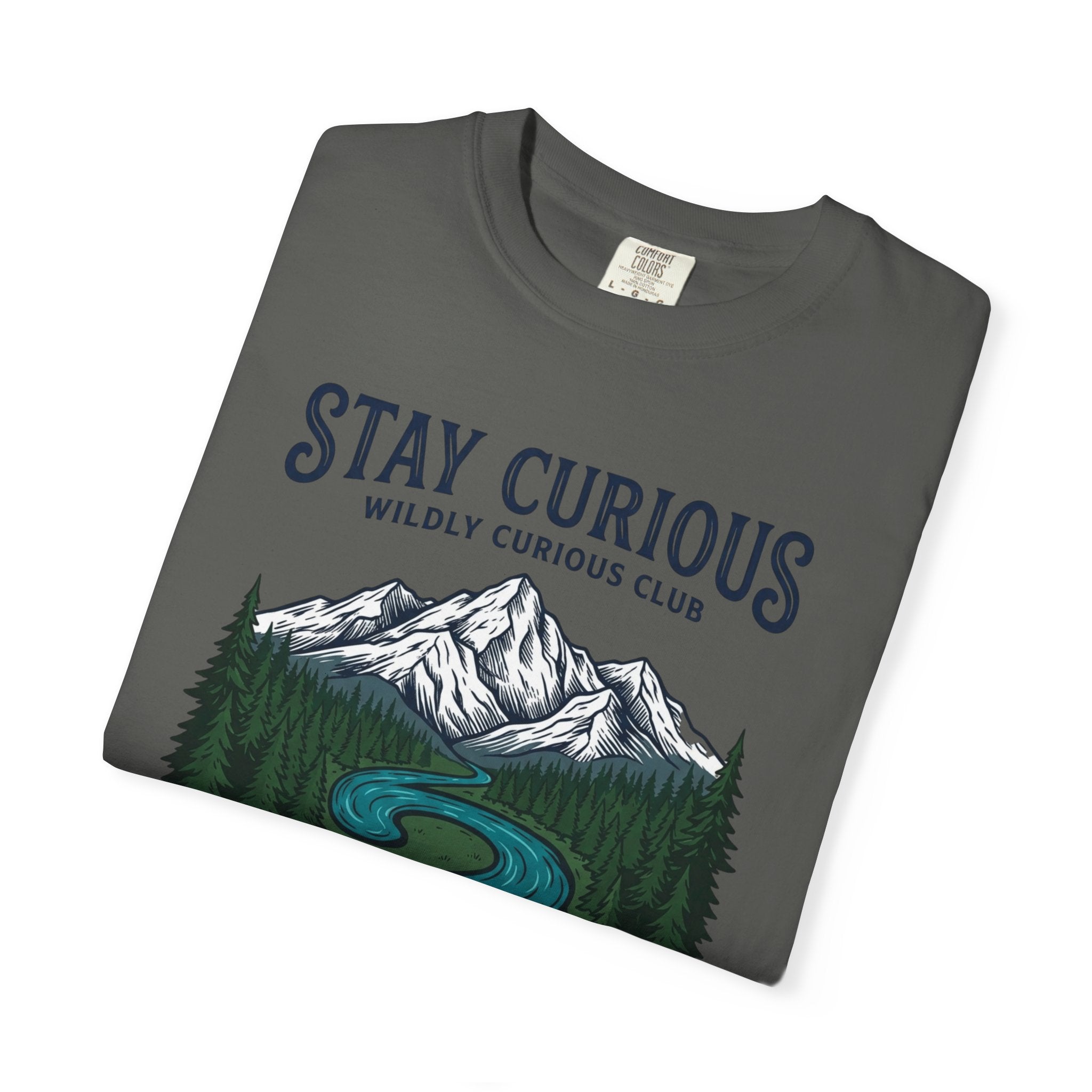 Stay Curious Summit Stream T-Shirt
