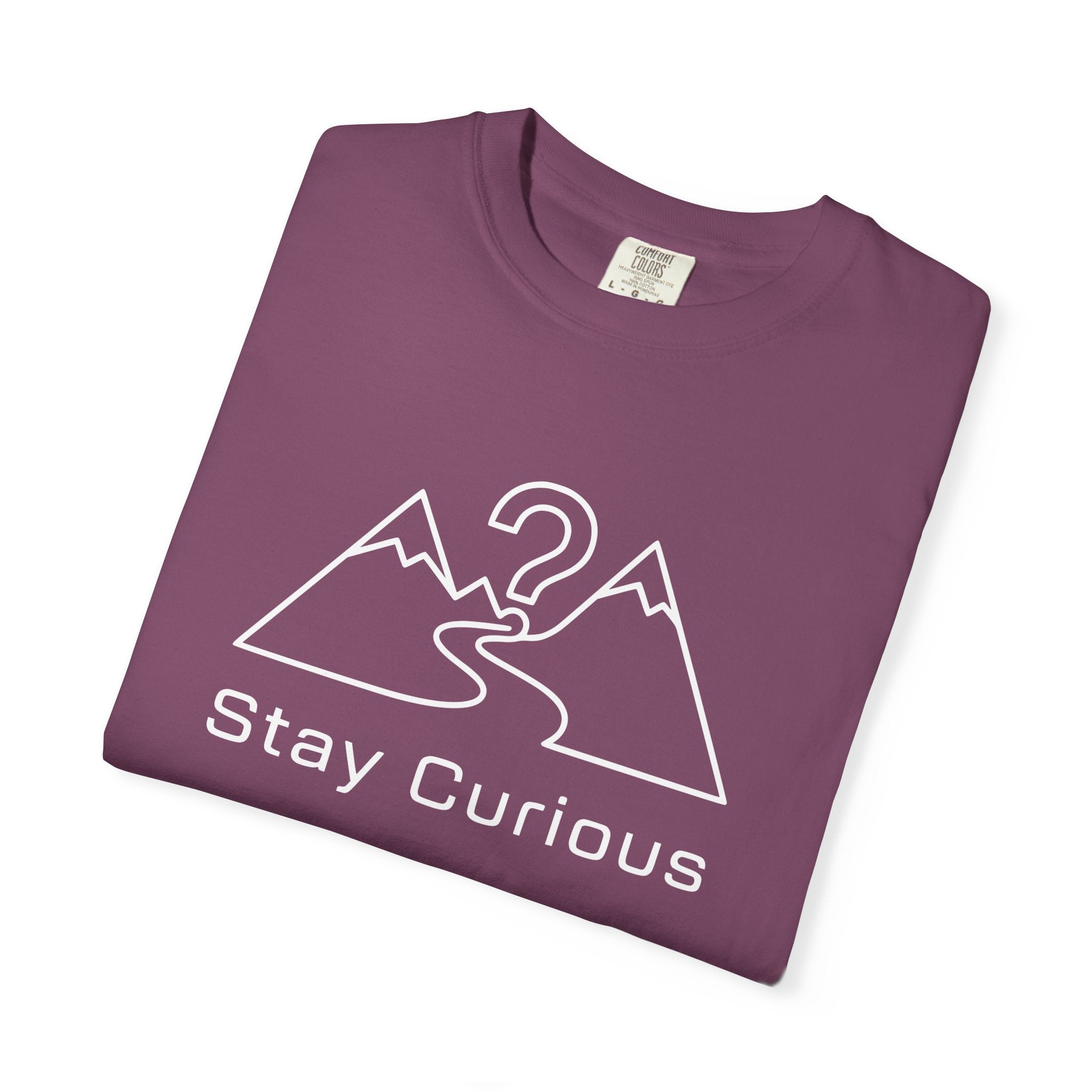 Stay Curious Simple T-Shirt