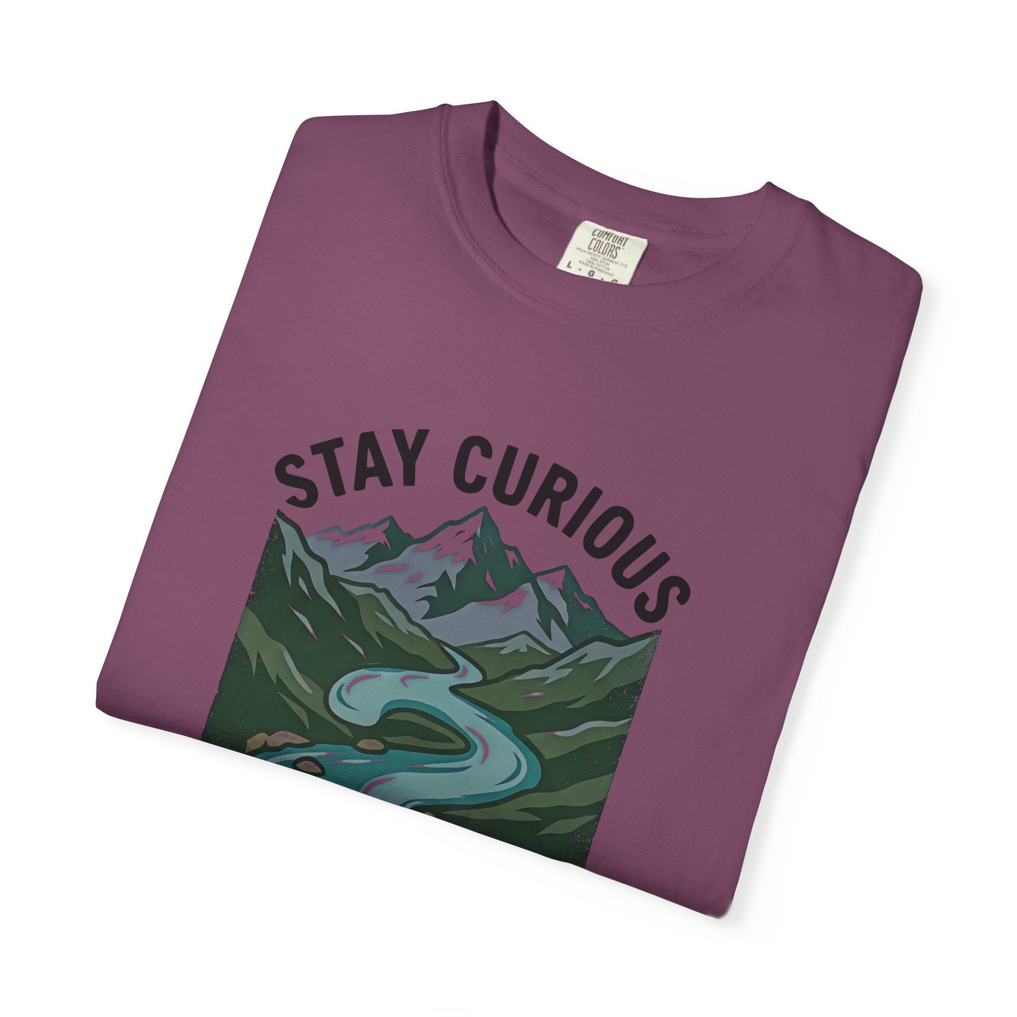 Stay Curious Stream T-Shirt