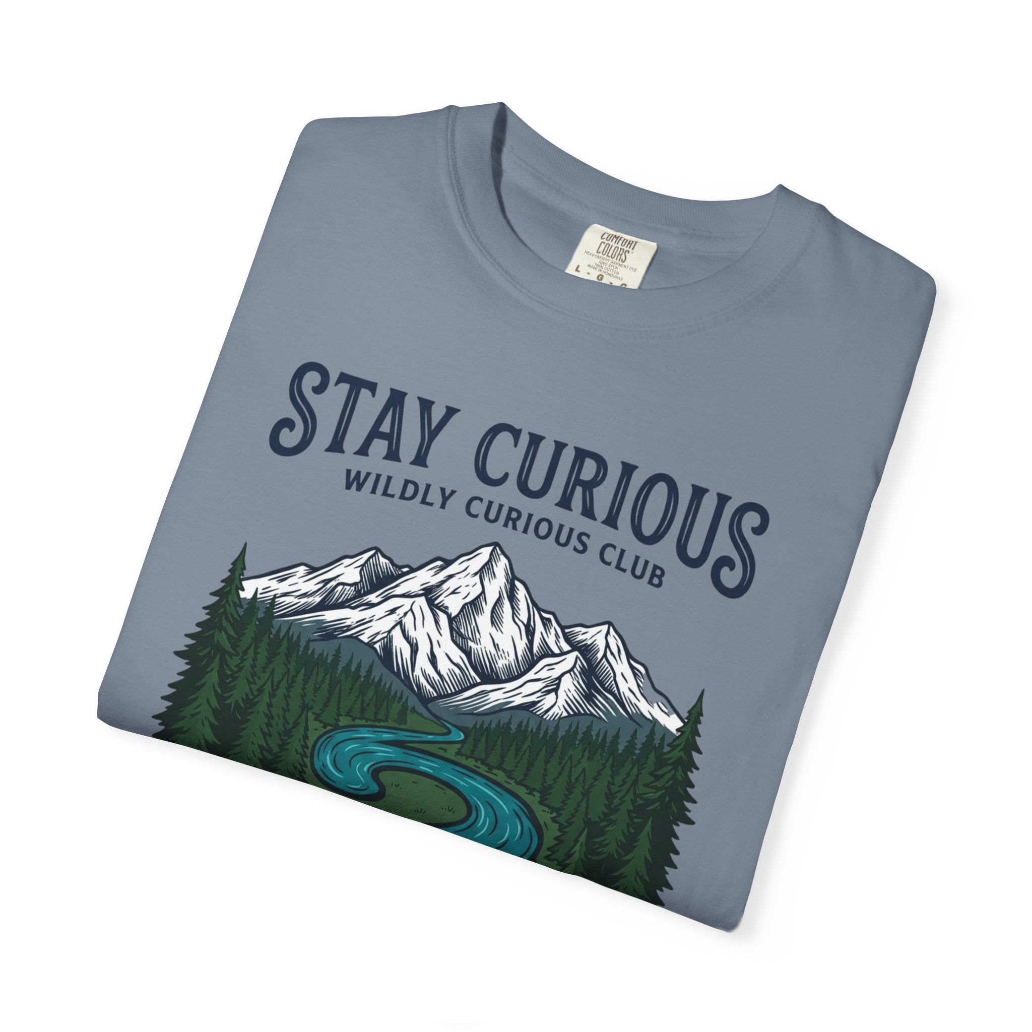 Stay Curious Summit Stream T-Shirt