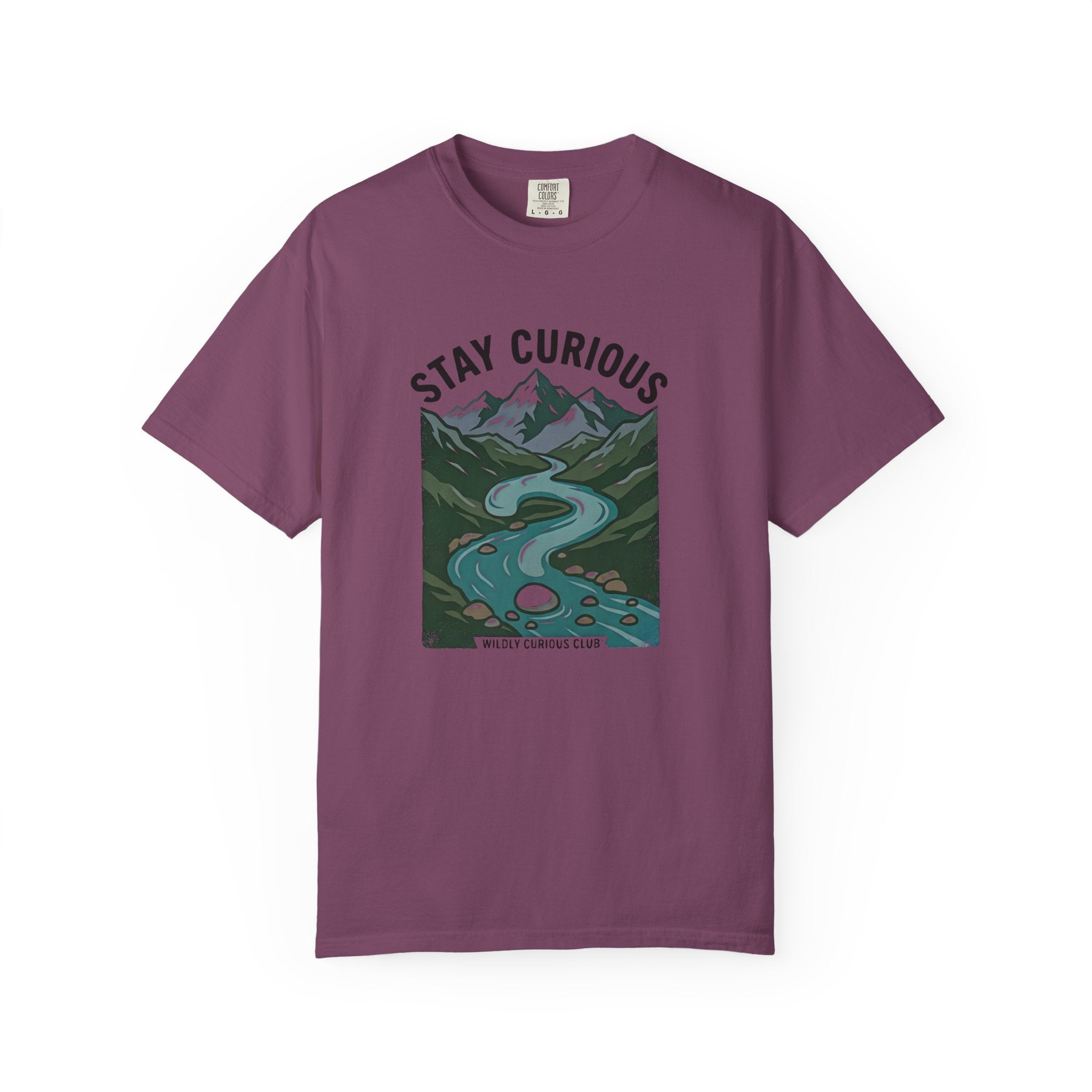 Stay Curious Stream T-Shirt