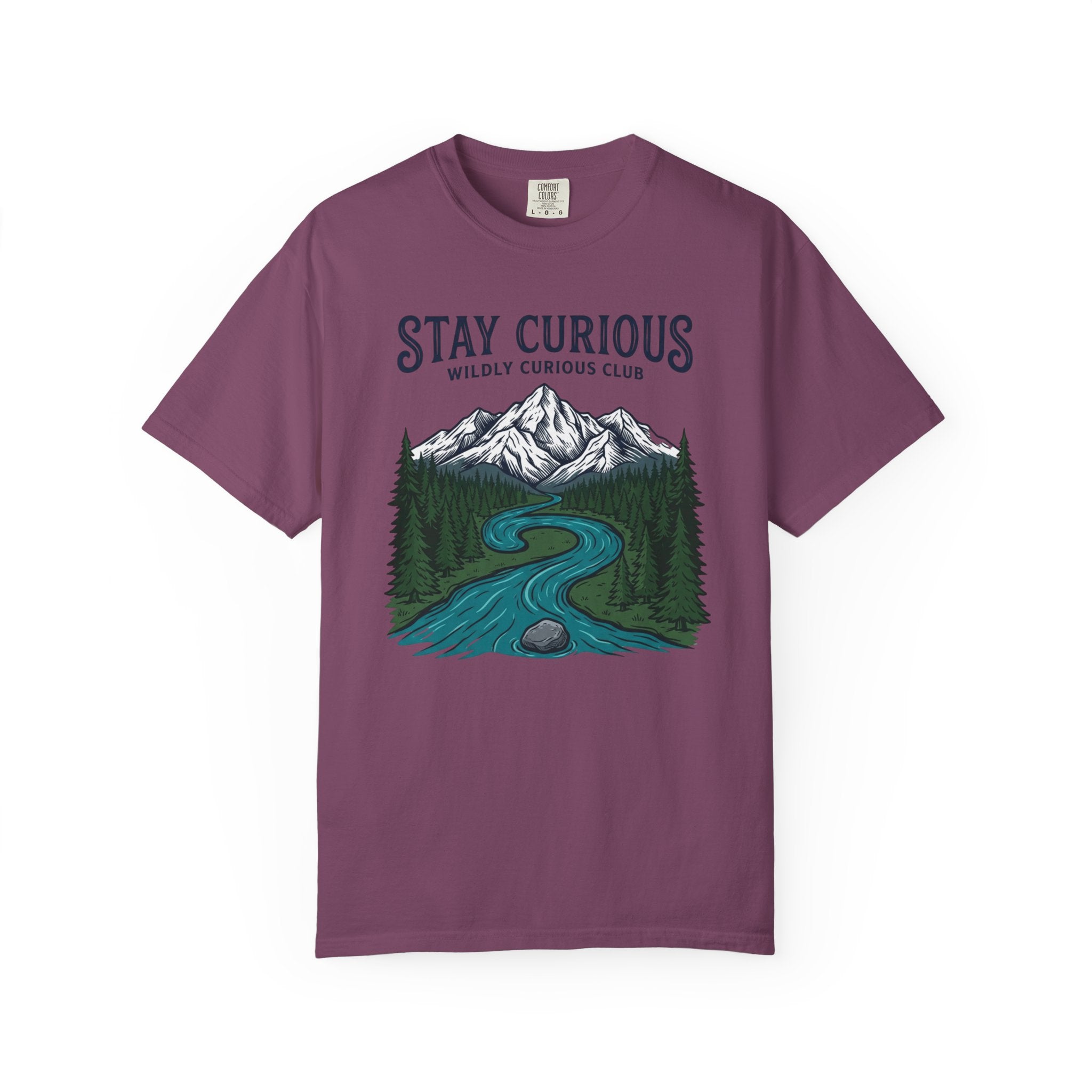 Stay Curious Summit Stream T-Shirt