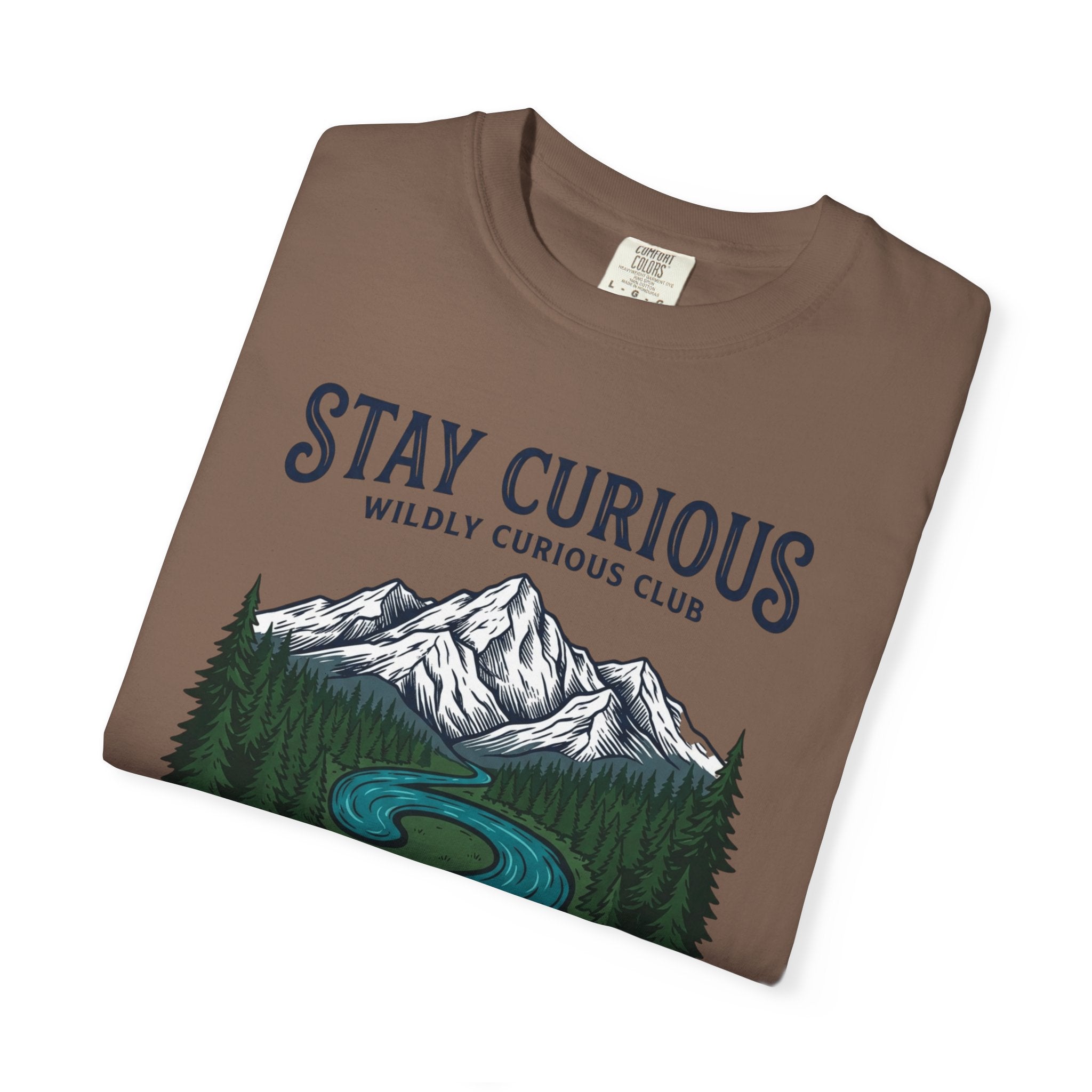 Stay Curious Summit Stream T-Shirt